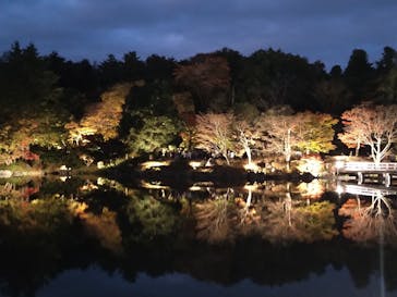 国営昭和記念公園 秋の夜散歩に投稿された画像（2024/11/24）