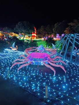 伊豆高原グランイルミに投稿された画像（2024/11/24）