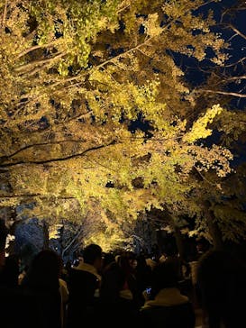 国営昭和記念公園 秋の夜散歩に投稿された画像（2024/11/24）