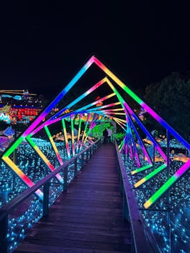 伊豆高原グランイルミに投稿された画像（2024/11/24）