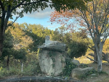 群馬サファリパークに投稿された画像（2024/11/24）