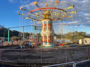 群馬サファリパークに投稿された画像（2024/11/24）