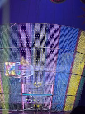 ハッピードリームサーカス湘南・平塚公演に投稿された画像（2024/11/24）