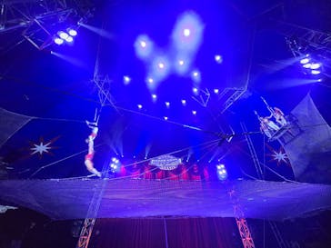 ハッピードリームサーカス湘南・平塚公演に投稿された画像（2024/11/24）