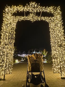 いばらきフラワーパークに投稿された画像（2024/11/24）