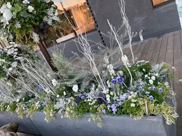 いばらきフラワーパークに投稿された画像（2024/11/24）