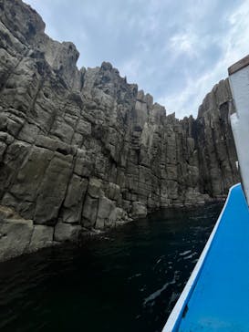 東尋坊観光遊覧船株式会社に投稿された画像（2024/11/24）