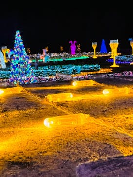 佐賀イルミナージュに投稿された画像（2024/11/24）