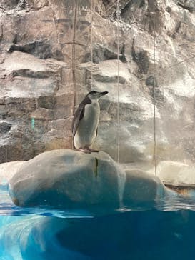 アソビュー！ポイントに投稿された画像（2024/11/24）