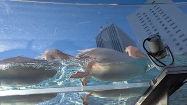 サンシャイン水族館に投稿された画像（2024/11/24）