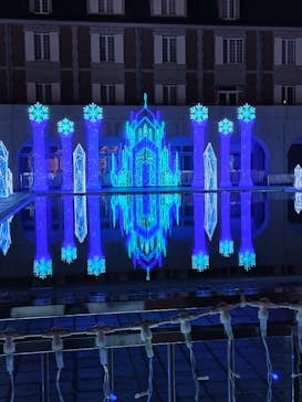 神戸イルミナージュに投稿された画像（2024/11/24）