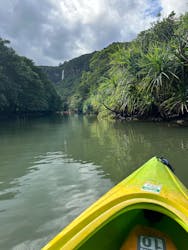 ブルーシーズン西表に投稿された画像（2024/11/24）