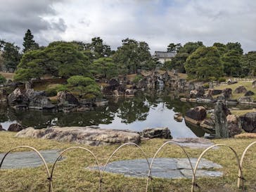 元離宮二条城に投稿された画像（2024/11/24）