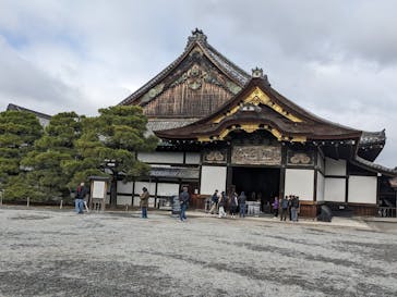 元離宮二条城に投稿された画像（2024/11/24）