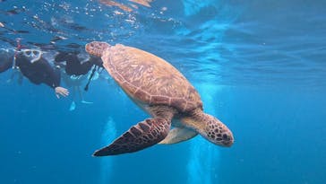  マリンショップHAPPYに投稿された画像（2024/11/24）