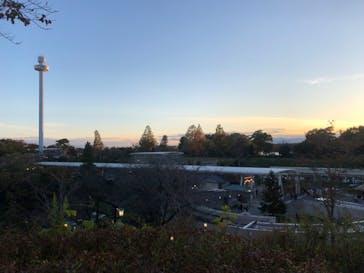 西武園ゆうえんちに投稿された画像（2024/11/24）