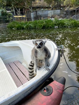 伊豆シャボテン動物公園に投稿された画像（2024/11/24）