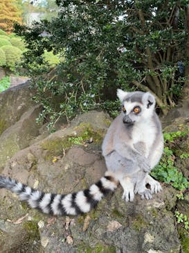 伊豆シャボテン動物公園に投稿された画像（2024/11/24）