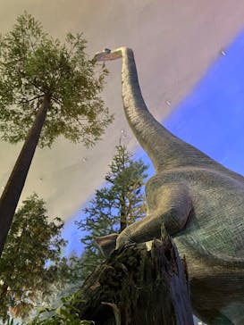 福井県立恐竜博物館に投稿された画像（2024/11/24）