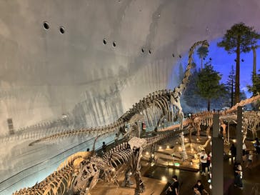 福井県立恐竜博物館に投稿された画像（2024/11/24）