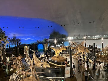 福井県立恐竜博物館に投稿された画像（2024/11/24）