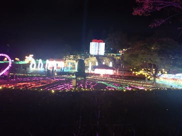 みろくの里に投稿された画像（2024/11/24）