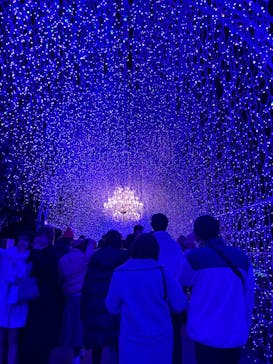 江の島シーキャンドルに投稿された画像（2024/11/24）