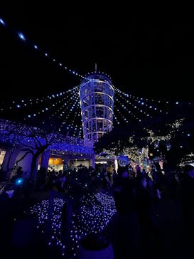 江の島シーキャンドルに投稿された画像（2024/11/24）