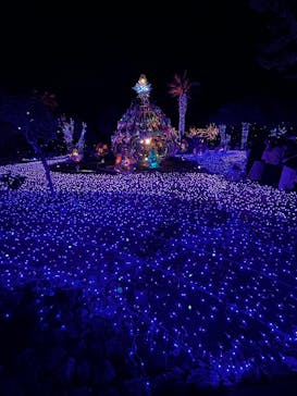 江の島シーキャンドルに投稿された画像（2024/11/24）