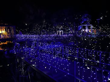 江の島シーキャンドルに投稿された画像（2024/11/24）