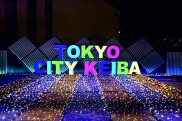 東京メガイルミに投稿された画像（2024/11/24）