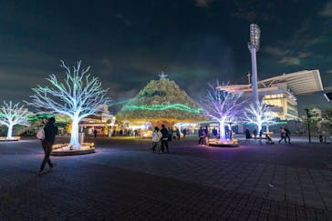 東京メガイルミに投稿された画像（2024/11/24）