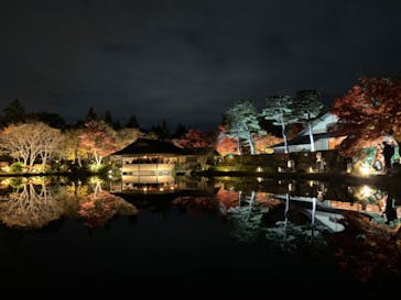 国営昭和記念公園 秋の夜散歩に投稿された画像（2024/11/24）