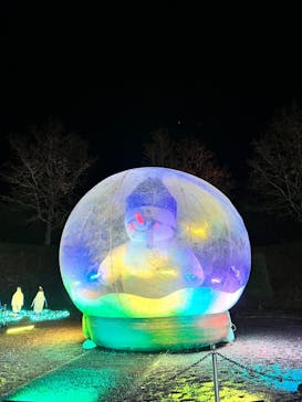 佐賀イルミナージュに投稿された画像（2024/11/24）