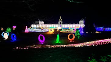 佐賀イルミナージュに投稿された画像（2024/11/24）