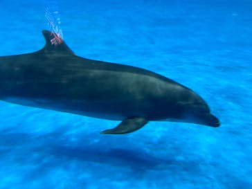 アクアワールド茨城県大洗水族館に投稿された画像（2024/11/24）