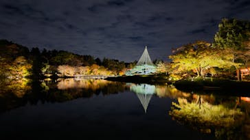 国営昭和記念公園 秋の夜散歩に投稿された画像（2024/11/24）