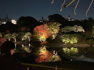 六義園に投稿された画像（2024/11/24）