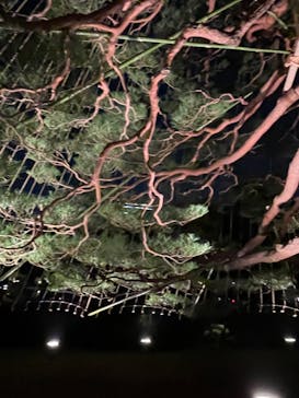 六義園に投稿された画像（2024/11/24）