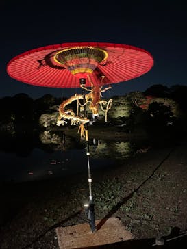 六義園に投稿された画像（2024/11/24）