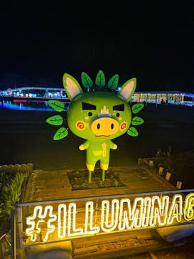 鹿児島イルミナージュに投稿された画像（2024/11/24）