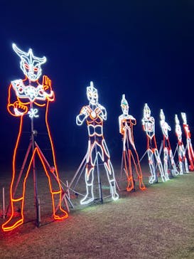 鹿児島イルミナージュに投稿された画像（2024/11/24）