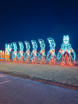 鹿児島イルミナージュに投稿された画像（2024/11/24）