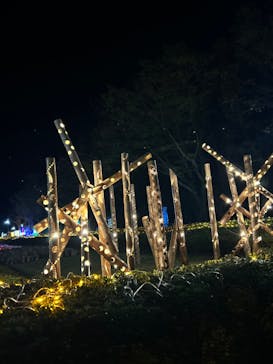 鹿児島イルミナージュに投稿された画像（2024/11/24）