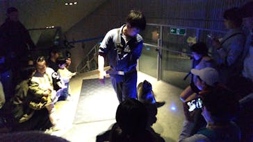 すみだ水族館に投稿された画像（2024/11/24）