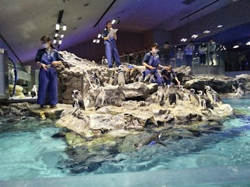 すみだ水族館に投稿された画像（2024/11/24）