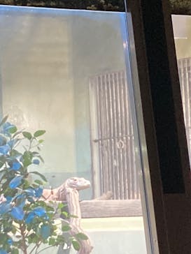 名古屋市東山動植物園に投稿された画像（2024/11/24）