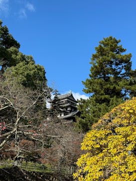 松江城に投稿された画像（2024/11/24）