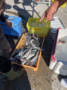 第三新生合同丸に投稿された画像（2024/11/24）