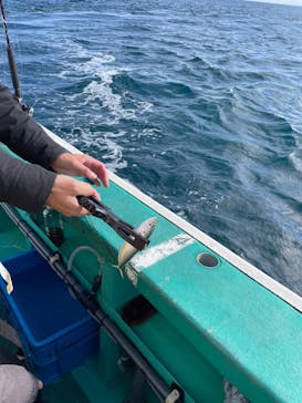 第三新生合同丸に投稿された画像（2024/11/24）